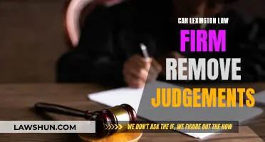 Lexington Law: Removing Judgements, Is It Possible?