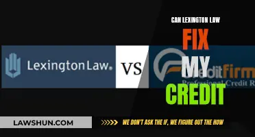 Lexington Law: Can They Fix Your Credit?