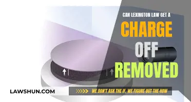 Lexington Law: Can They Remove Charge-Offs from Your Credit Report?