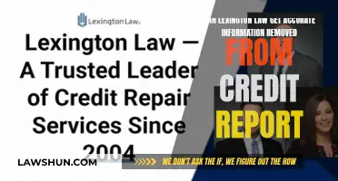 Lexington Law: Credit Report Accuracy