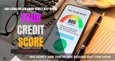 Lexington Law: Can They Help Your Credit Score?