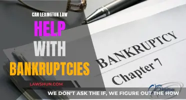 Lexington Law: Bankruptcy Experts to Guide You