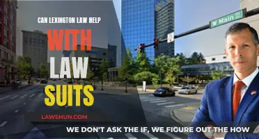 Lexington Law: Your Ally in Lawsuits
