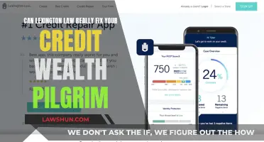 Lexington Law: Can They Really Fix Your Credit?