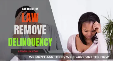 Lexington Law: Erase Delinquency, Repair Credit