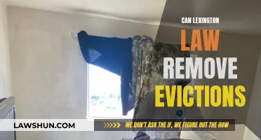 Lexington Law: Can Evictions Be Removed?