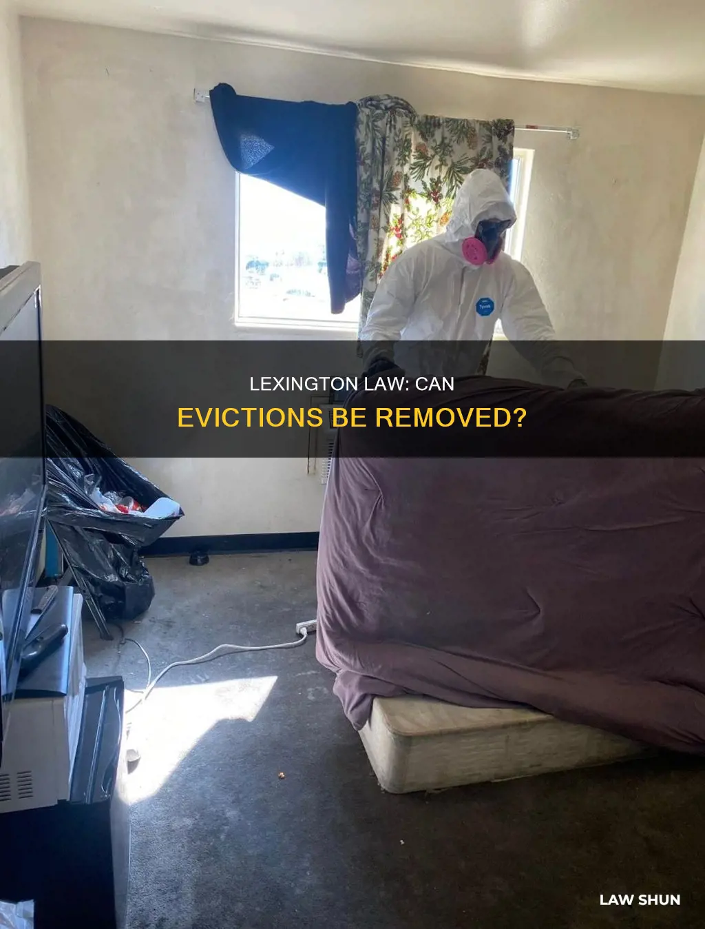 can lexington law remove evictions