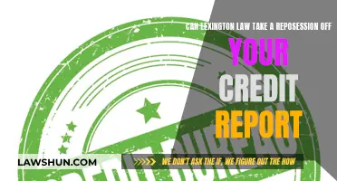 Lexington Law: Can They Remove Repo from Credit Report?