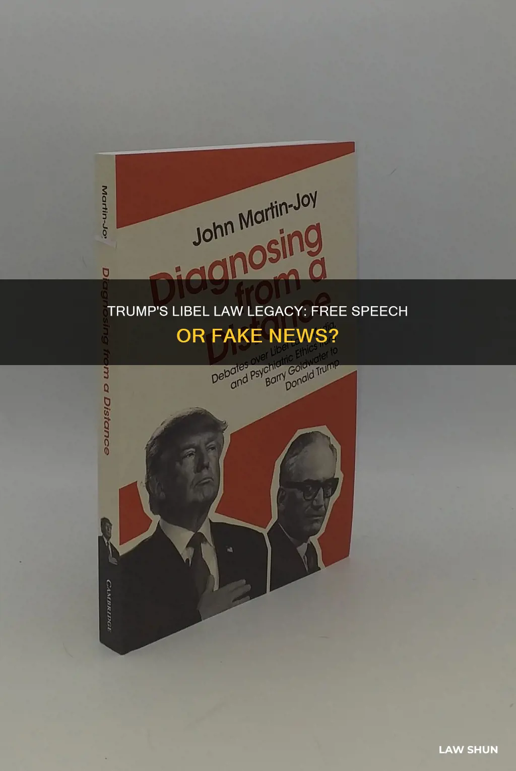 can libel laws be changed under trump