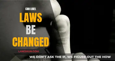 Libel Laws: Time for Change?