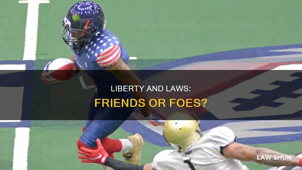can liberty and laws exist at the same time