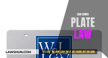 License Plate Laws: Can They Be Changed?