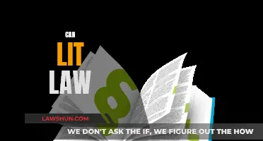 Litigation Law: A Canadian Guide