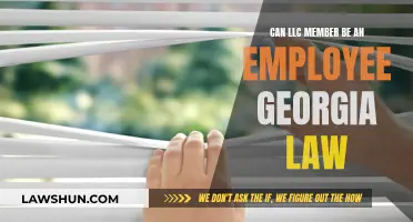 LLC Members: Employees or Not? Georgia Law Explained