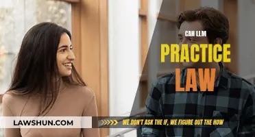 LLMs and Legal Practice: The Future of Law?