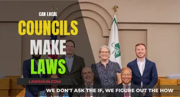 Local Councils: Lawmaking Powers?