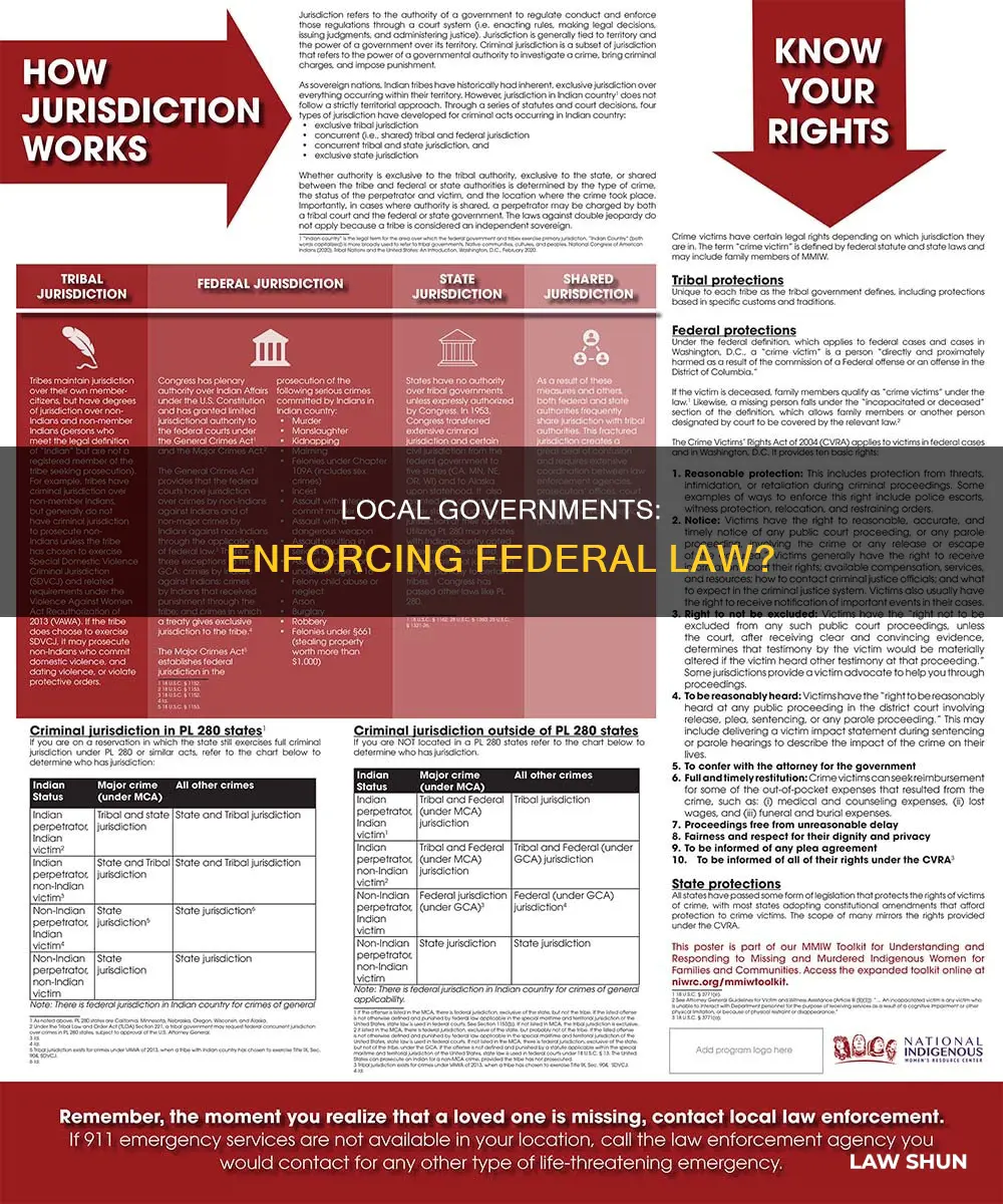can local government enforce federal law