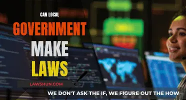 Local Government Lawmaking Powers Explored
