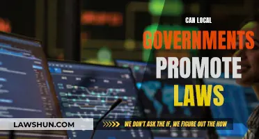 Local Governments: Law-Making Powers Explored