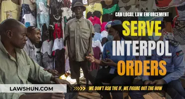 Local Cops and Interpol: Who Serves Whom?