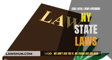 Local Laws: Overriding New York State Laws?