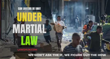 Martial Law: Can Looters Be Shot?
