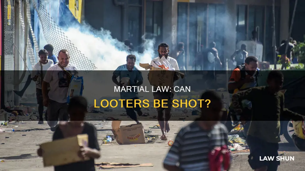 can looters be shot under martial law
