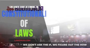 Lower Courts: Power to Decide Constitutionality?