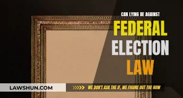 Lying in Elections: Federal Law Implications