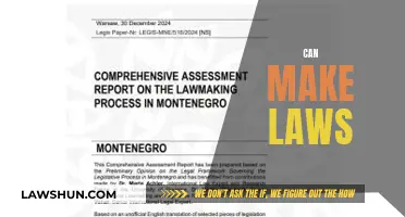 The Power to Legislate: Making Laws