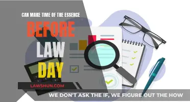 Making Time of the Essence: Law Day Strategies