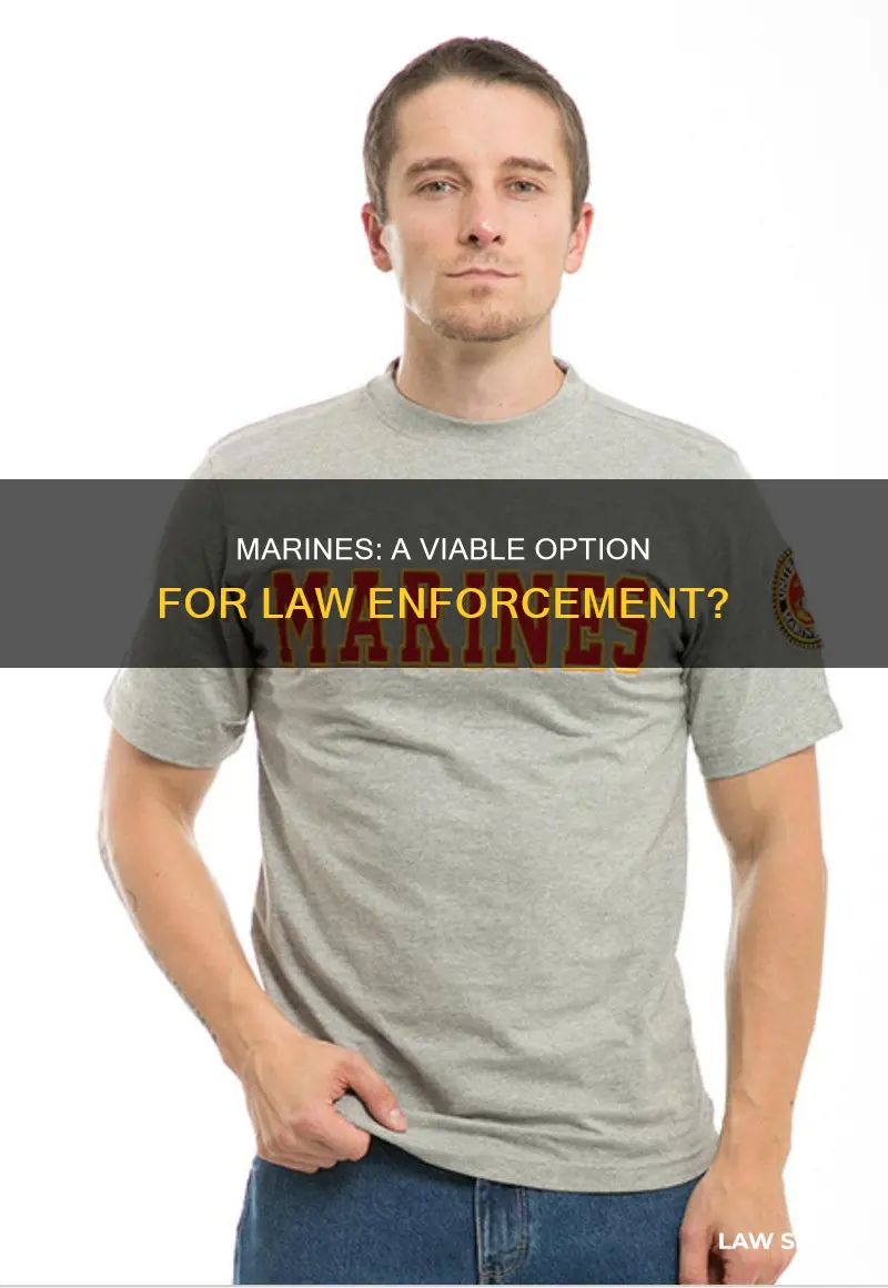 can marines be used for law enforcement