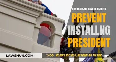 Martial Law: A President's Power Play?