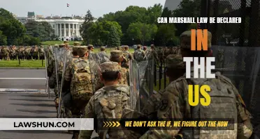 Martial Law: Can it be Enacted in the US?