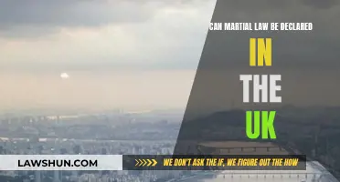 Martial Law in the UK: Is It Possible?