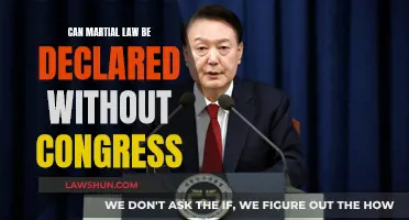 Martial Law: Can the Executive Branch Act Alone?