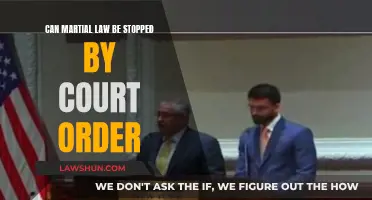 Martial Law: Can Courts Intervene?