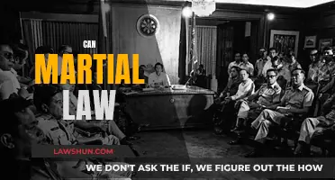 Martial Law: A Democracy's Friend or Foe?
