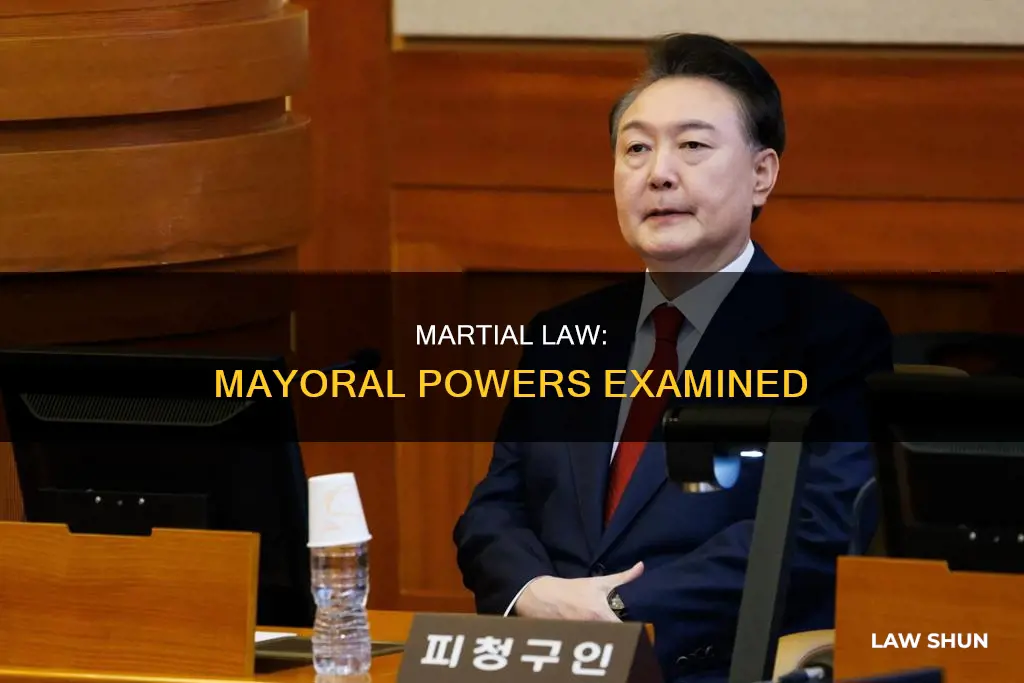 can mayors declare martial law