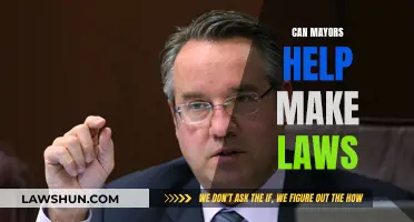 Mayoral Powers: Lawmaking and You
