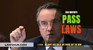 Who Can Pass Laws? Mayors' Powers Explained
