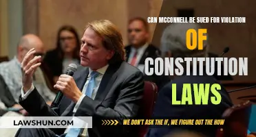 Suing McConnell: Constitutional Violations and Legal Recourse