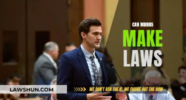 MDHHS: Lawmakers or Policy Enforcers?