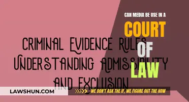Media in Court: Admissible Evidence?