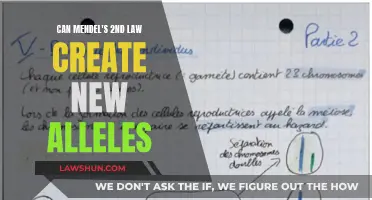 Mendel's Second Law: Creating New Alleles?