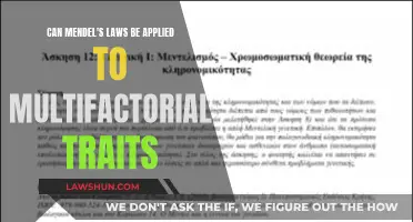 Heredity: Mendel's Laws and Multifactorial Traits