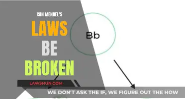 Mendel's Laws: Unbreakable or Flexible?