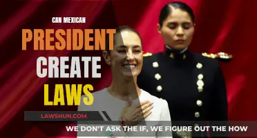 The Power of the Mexican Presidency