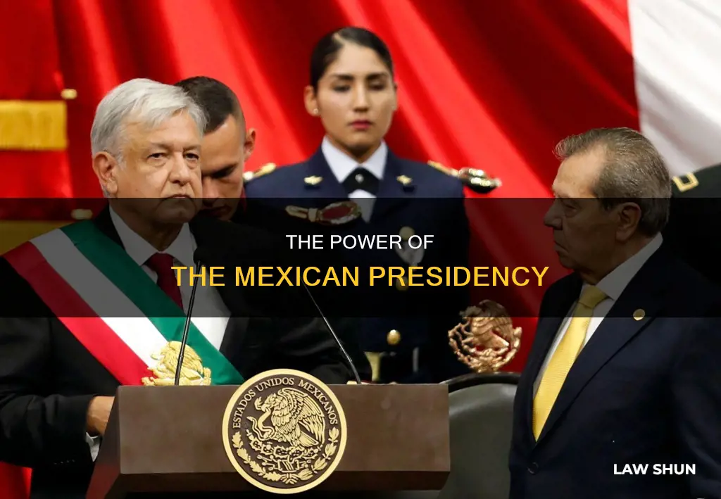 can mexican president create laws