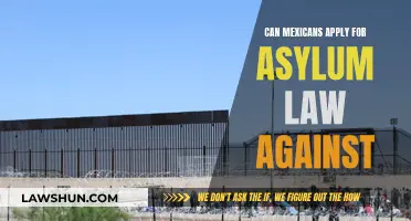 Asylum Law: Options for Mexicans Seeking Protection